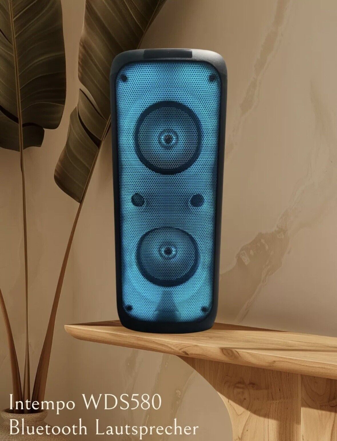 INTEMPO WDS580 Bluetooth Karaoke Lautsprecher LED Party Boom Box + Mikrofon Akku