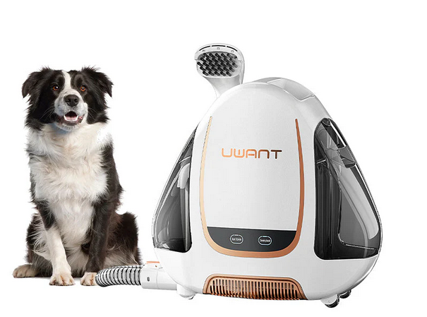 UWANT B100-E Waschsauger Teppichreiniger mit Multimode-Touchscreen, MUST HAVE!!
